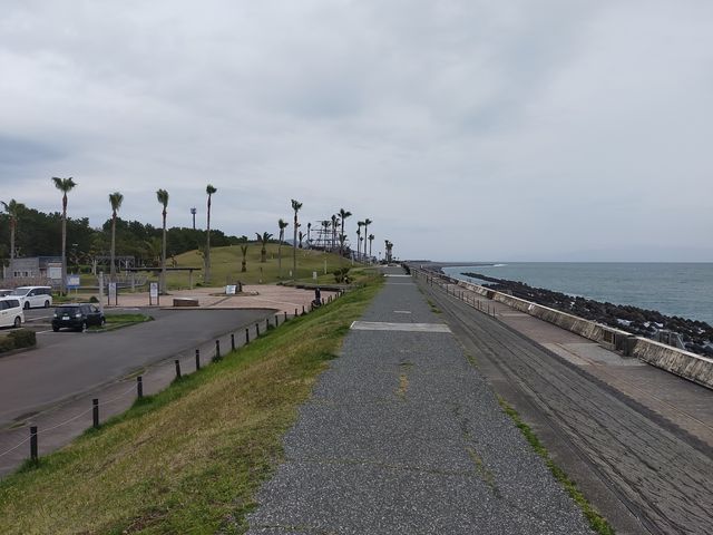 �C�����̕���_�L��C�݌���