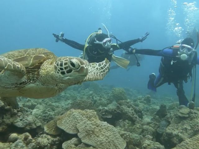 �T�̐^�������ĉj���܂���_�t���[�X�^�C������_�C�r���O