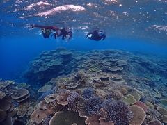 mekealohã}T[rX@pb\ւ̓eʐ^1