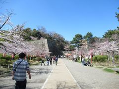 ߋT|~̘a̎Rւ̓eʐ^1