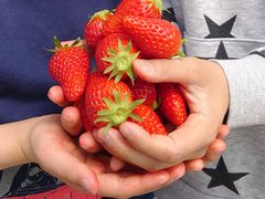 yu]cyan̂܂t[ct@[ւ̓eʐ^1