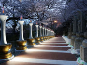 Kana����̋I�O�䎛�̍��̓��e�ʐ^3