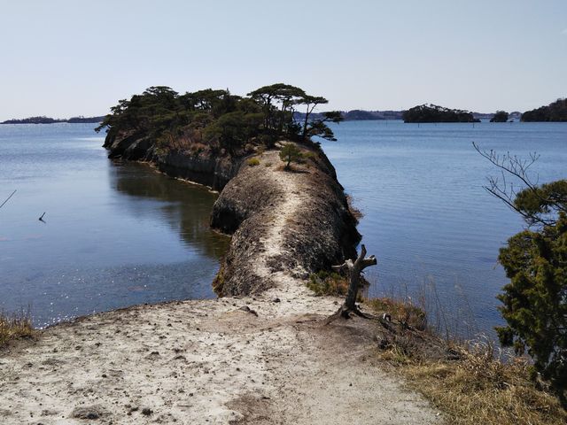 �n�������ԋ����ł��B_�n�̔w�i���ʖ��������j