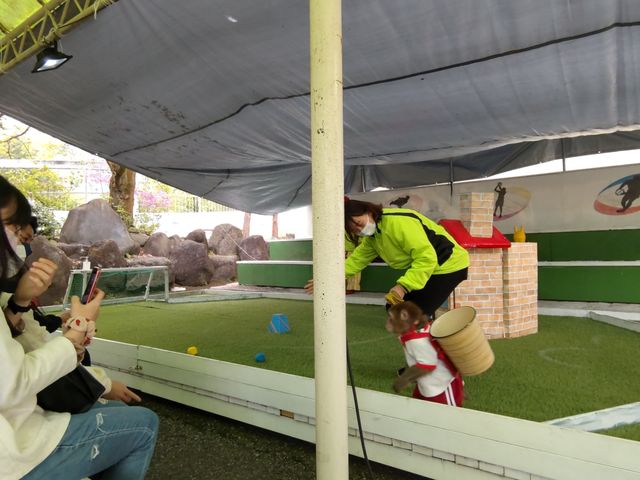 �ʓ���_�����郉���h���A�j�^�E��