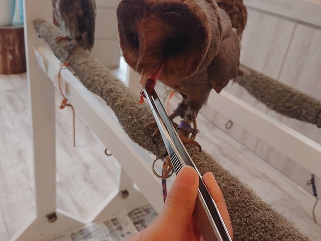 ���H���^�C����_�ӂꂠ���J�t�F ���ӂ肱����