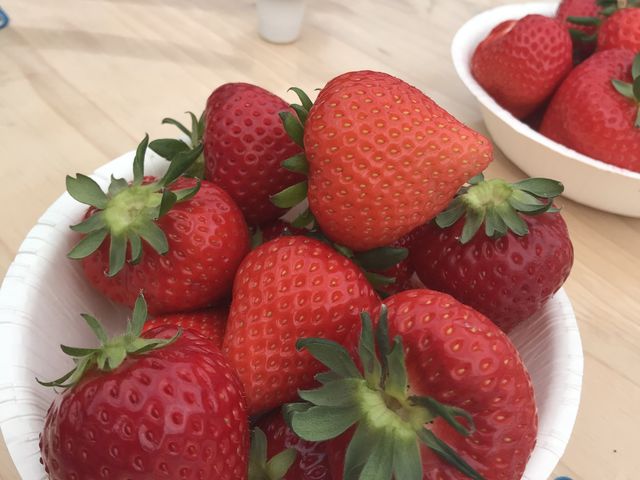 �Ƃ��Ă��Â��đ傫���ł��I_����������