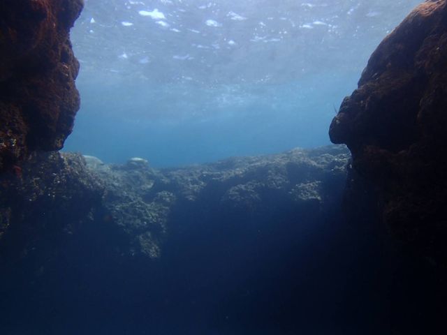 �p���v�L���z�[��_�}�����T�|�[�g�^�C�h�{��