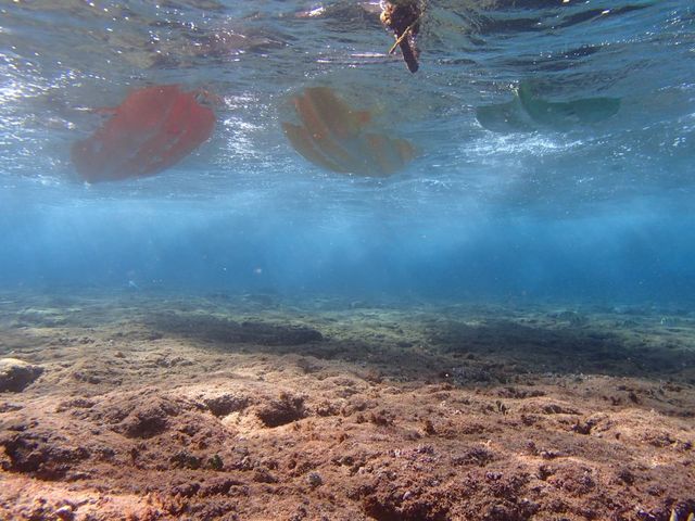 �p���v�L���z�[��_�}�����T�|�[�g�^�C�h�{��