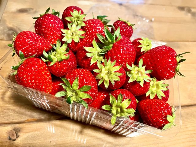 �̂ꂽ�Ă̖��͊i�ʁI���������Ă���Ȃɔ������������񂾂ȂƍK���ȋC�����ɂȂ�܂�����_�Ȃ肽�_��