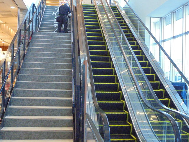 Kւ̃GXJ[^[_ÃT[rXGAij