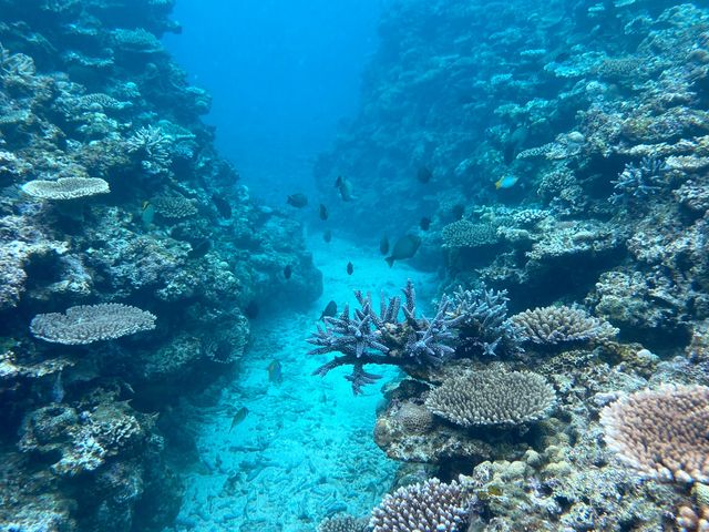 ���L���C�ȊC�̒�_big beach�Ί_��