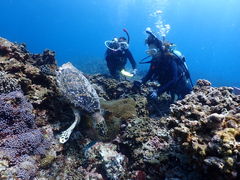 marina7117̃V[}bNX_CrONuւ̓eʐ^1