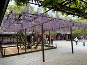 kPĂ郉C_[̔d̓E員̓eʐ^1