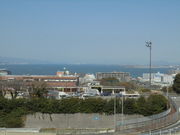 񂳂̑ÃT[rXGAij̓eʐ^1