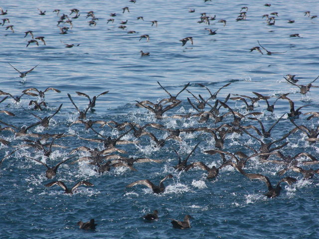 InV{\~YiMh_LВmlC`[N[Y