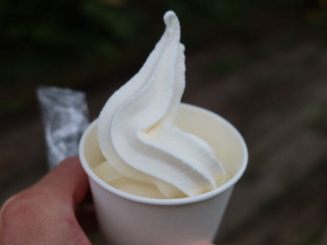 �ӊO�ƔZ��_���c�t�@�[��