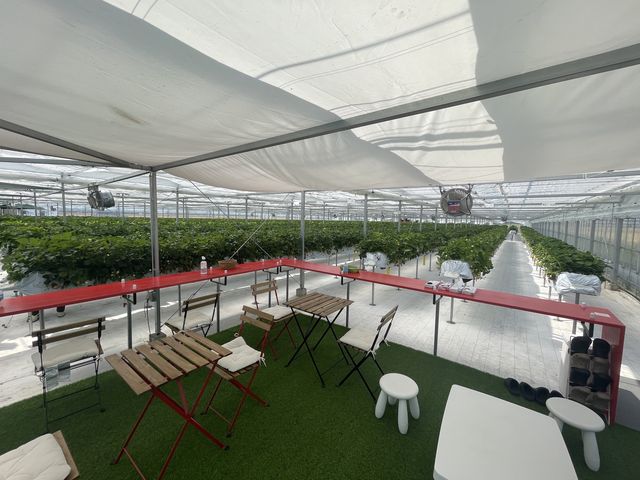 ���̎ʐ^_�_���N�o���Y�t�@�[��