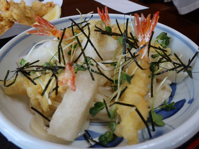 yosshy̖ˉف[̓eʐ^5