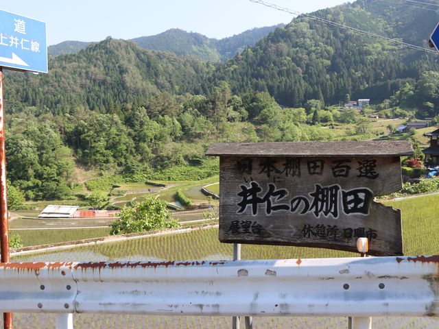 ���|���c���@��m�I�c_��m�̒I�c