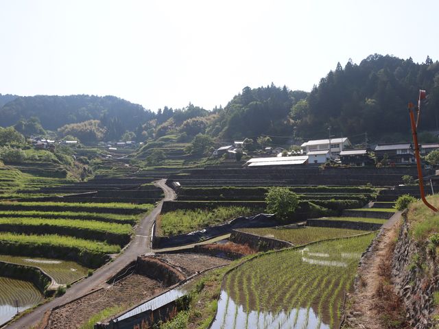 ���|���c���@��m�I�c_��m�̒I�c