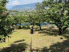 Dknock̂ډ{ւ̓eʐ^2