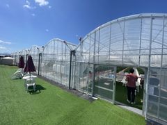 u-5̃_NoYt@[ւ̓eʐ^1