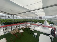 u-5̃_NoYt@[ւ̓eʐ^2