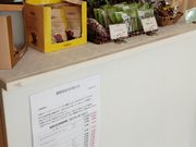 K2̃JtFE[mE[m̓eʐ^5