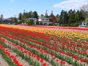 yosshŷ݂䂤ׂ`[bv̓eʐ^2