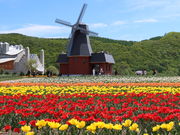 yosshŷ݂䂤ׂ`[bv̓eʐ^3