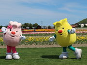 yosshŷ݂䂤ׂ`[bv̓eʐ^5