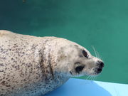 yosshỹIz[cNƂZ^[̓eʐ^2