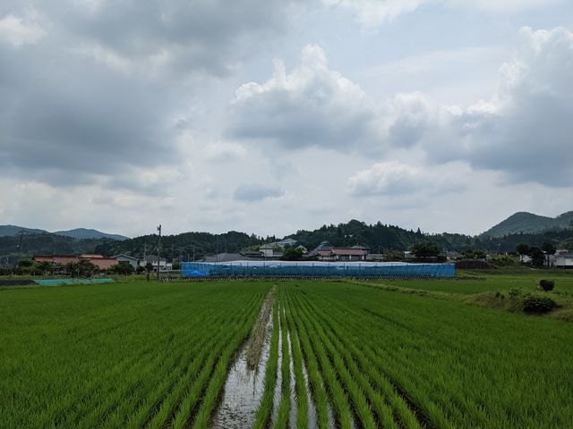 �����i_�Ƃ悳���u���[�x���[�K�[�f��