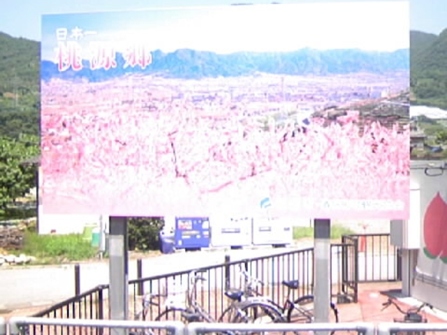 �w�O�̏t�������o�q�ŔI_�t��������