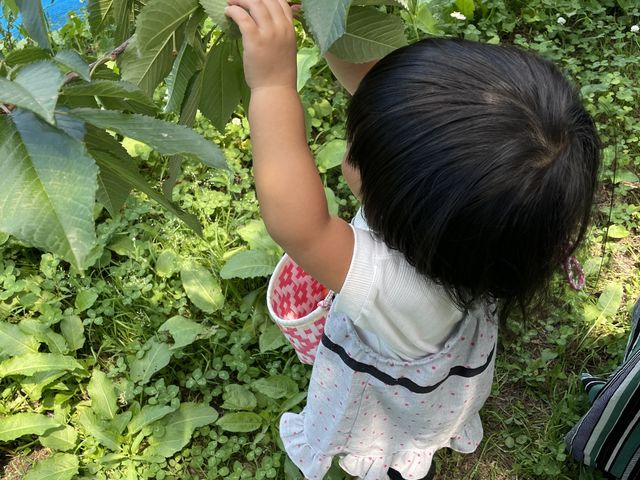 �����������ł��܂����B_�n糊ό��N�����@sweet cherry watanabe