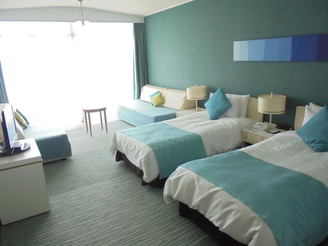 �I�[�V�����r���[�̃c�C��_���c�v�����X�z�e��