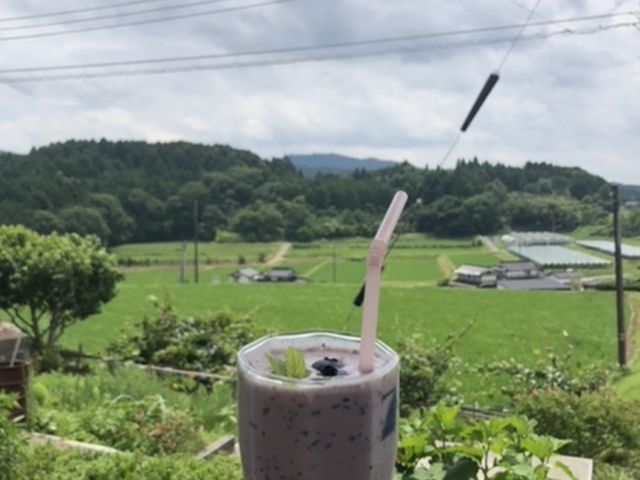 ���������u���[�x���[_BlueBerry�͂�ȉ�