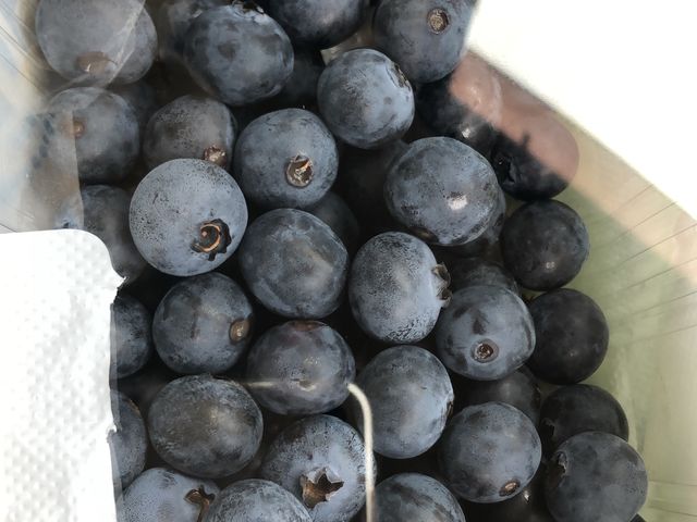 ���y�Y�@�嗱�u���[�x���[_�̉ʂ̋�