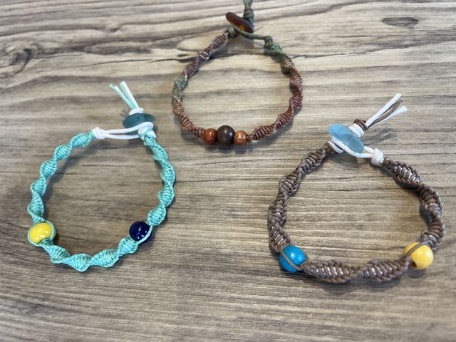 �����ł�_��I���l�C�̎G�݉��@SeaBirth