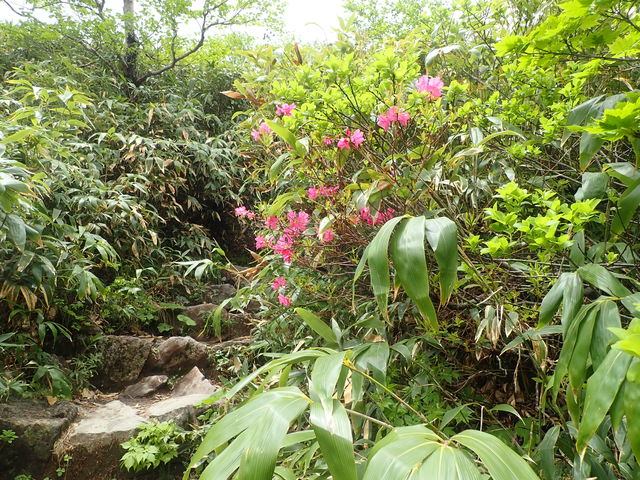 }CanñG]ccWiHcPxj̓eʐ^1