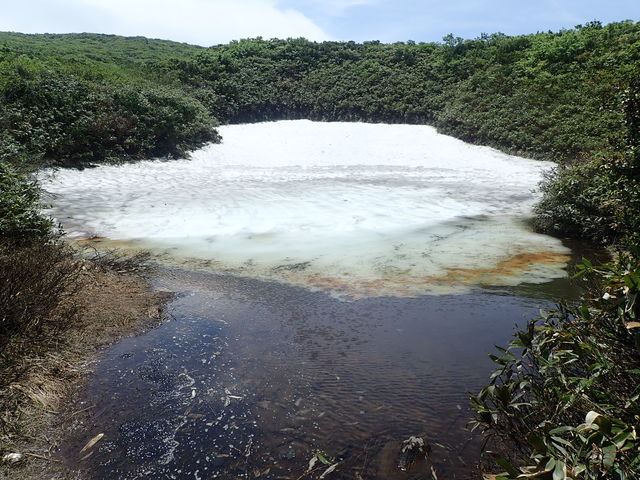 }CanňIRoRRώ@HiYR[Xj̓eʐ^1