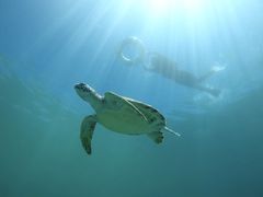 肦CHURA{Óւ̓eʐ^1