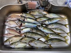 zombiẽ}[hcӂւ̓eʐ^1