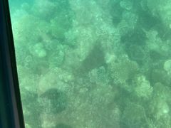 ���邳��̂��ゲ��̗��ւ̓��e�ʐ^1