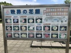 harusǔÑ@ւ̓eʐ^1