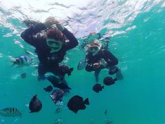 肿񂳂̃_CrOVbvTI.OCEANւ̓eʐ^1