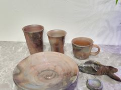 �䂫����̐����V�q�ւ̓��e�ʐ^1