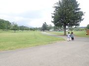 }Cann̏_ꂩ̊R̓eʐ^1