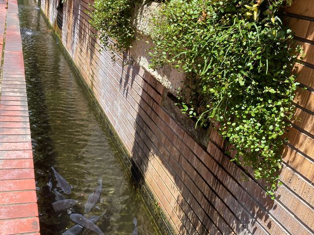 ���C���� ������_���C����@������