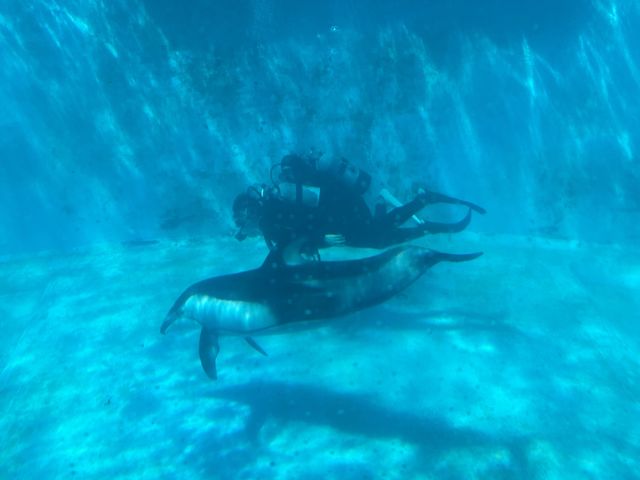 �ꏏ��_�h���t�B���r�[�`